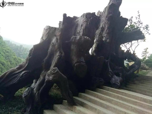 贵州安顺塑石假山